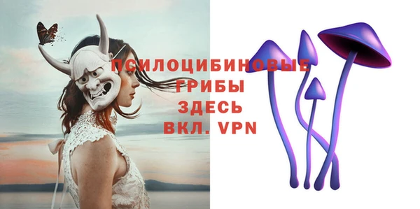 индика Абаза