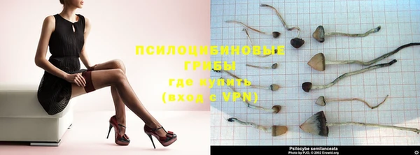 индика Абаза
