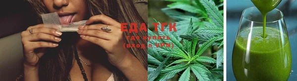 индика Абаза
