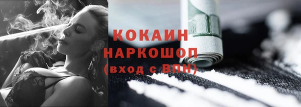 индика Абаза