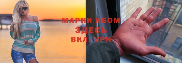 индика Абаза