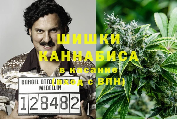 индика Абаза