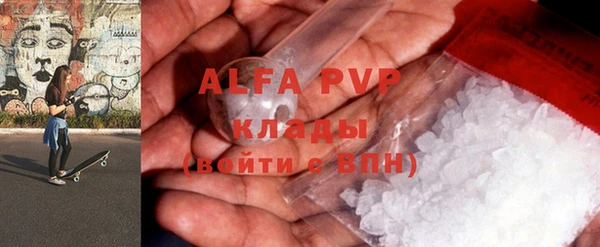 индика Абаза