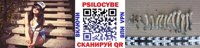 KRAKEN рабочий сайт  Ува  Псилоцибиновые грибы GOLDEN TEACHER 